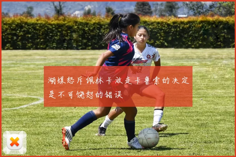 湖媒怒斥佩林卡放走卡鲁索的决定是不可饶恕的错误