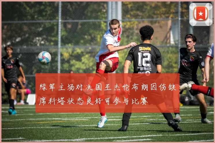 绿军主场对决国王杰伦布朗因伤缺席科塔状态良好可参与比赛